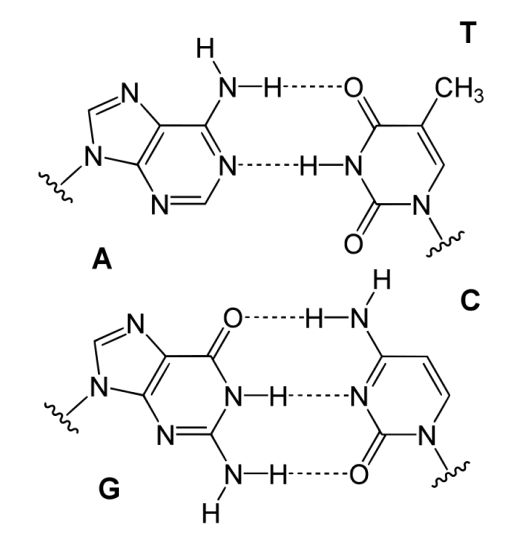 Figure 3.3.1.png