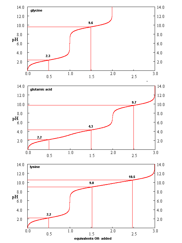 Three line graphs in red, displaying data trends with y-axis labels, x-axis labeled as "experience in %."