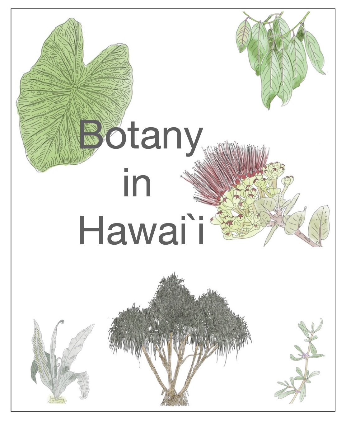 Botany in Hawaiʻi (Daniela Dutra Elliott and Paula Mejia Velasquez)