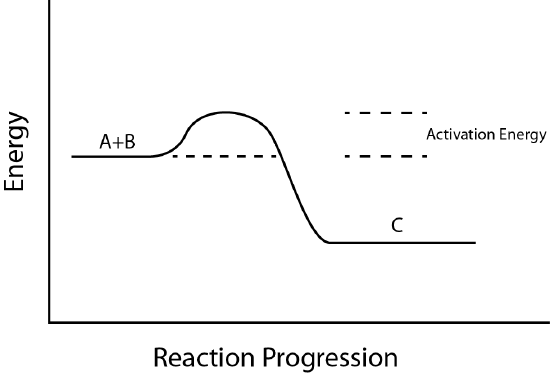 Activation energy plot