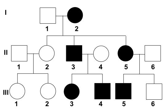 Pedigree showing the inheritance of freckles across three generations.
