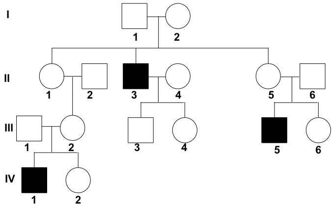 Pedigree showing the inheritance of colorblindness across four generations.