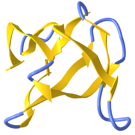 Beta protein Roll_Second SH3 domain from ponsin (2O9S).png