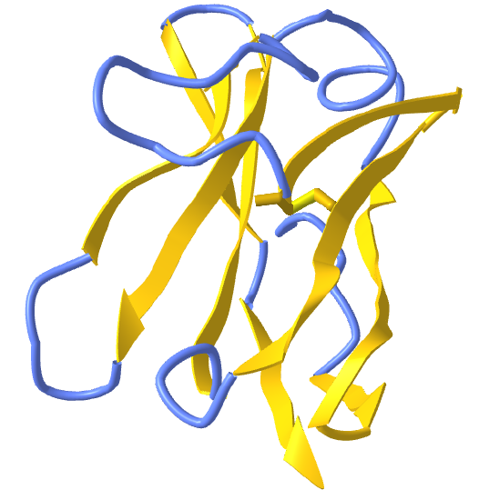 Beta protein Sandwich - Mcg immunoglobulin light chain variable domain (4unu).png