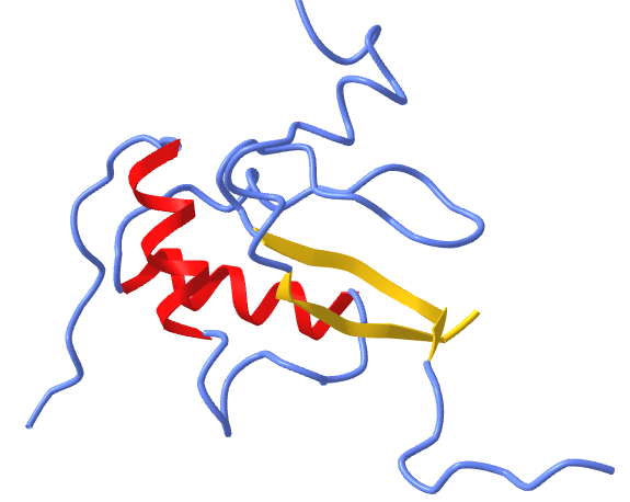 Alpha-Beta protein Two layer sandwich - HIV-1 Nef-SF2 Core Domain (4U5W).png