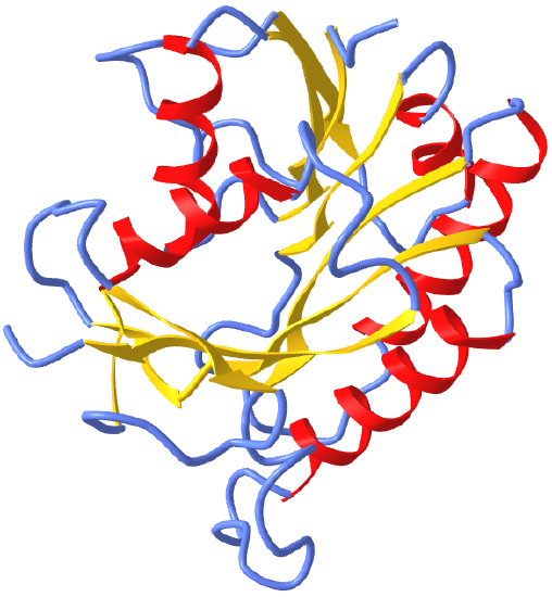 Alpha-Beta Three layer sandwich (aba) - Human biliverdin IX beta reductase (1hdo).png