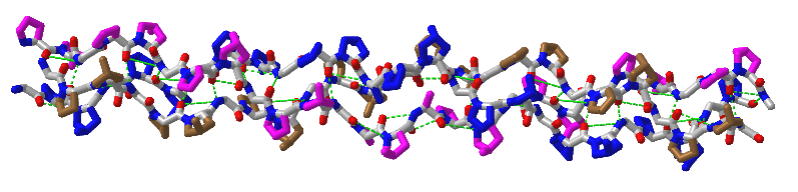 Triple helical collagen-like peptide (4Z1R).png