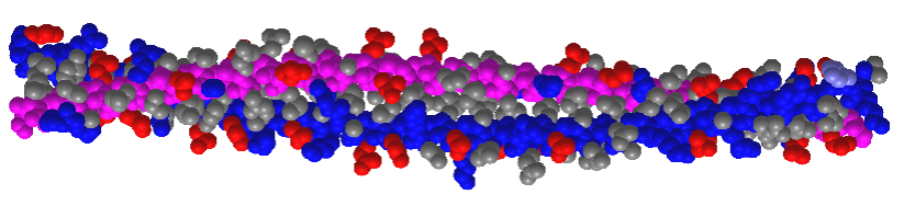 Dimer of a Type I and Type II alpha-keratin backbones in spacefill (6JFV).png