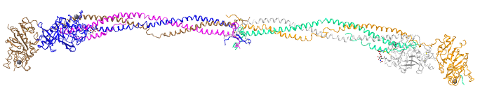 Abstract illustration of intertwined colorful strands, resembling a molecular or artistic design against a white background.