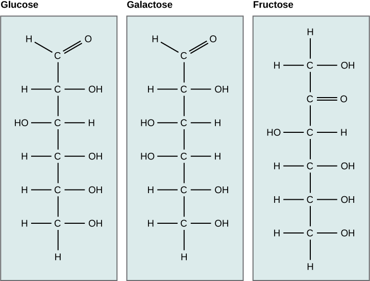 Estructuras químicas de glucosa, galactosa y fructosa.