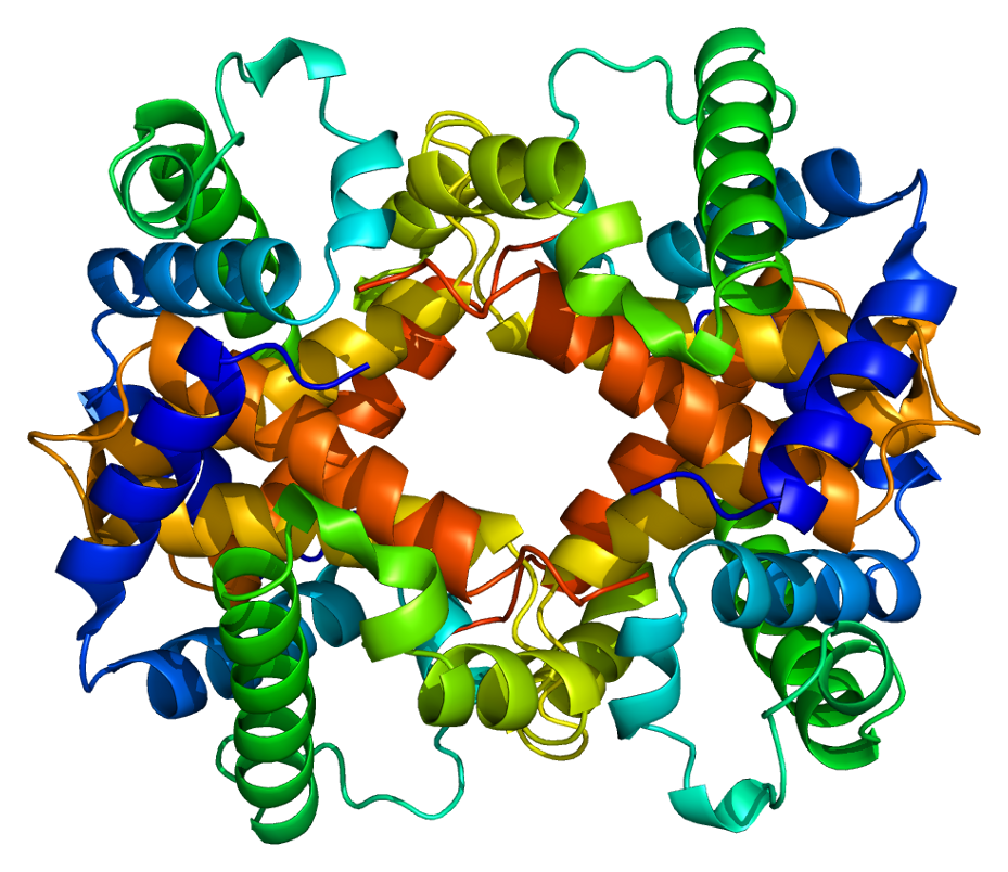 estructura de proteína de cinta