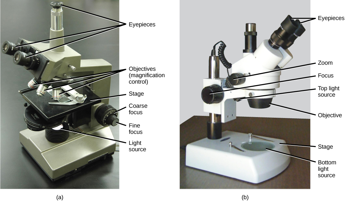 pictures of microscopes