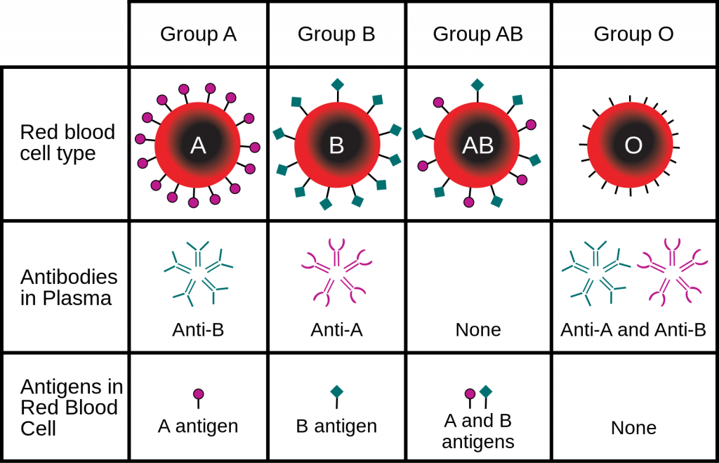 Diagrama de grupos sanguíneos ABO.