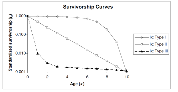 The three main survivorship curves are graphed with age on the x-axis and standardized survivorship on the y-axis. Type I starts with high survivorship that decreases at increasing rates with age. Type II survivroship decreases linearly over time. Type III survivorship drastically decreases initially and then levels out approaching no survivors with increasing age.