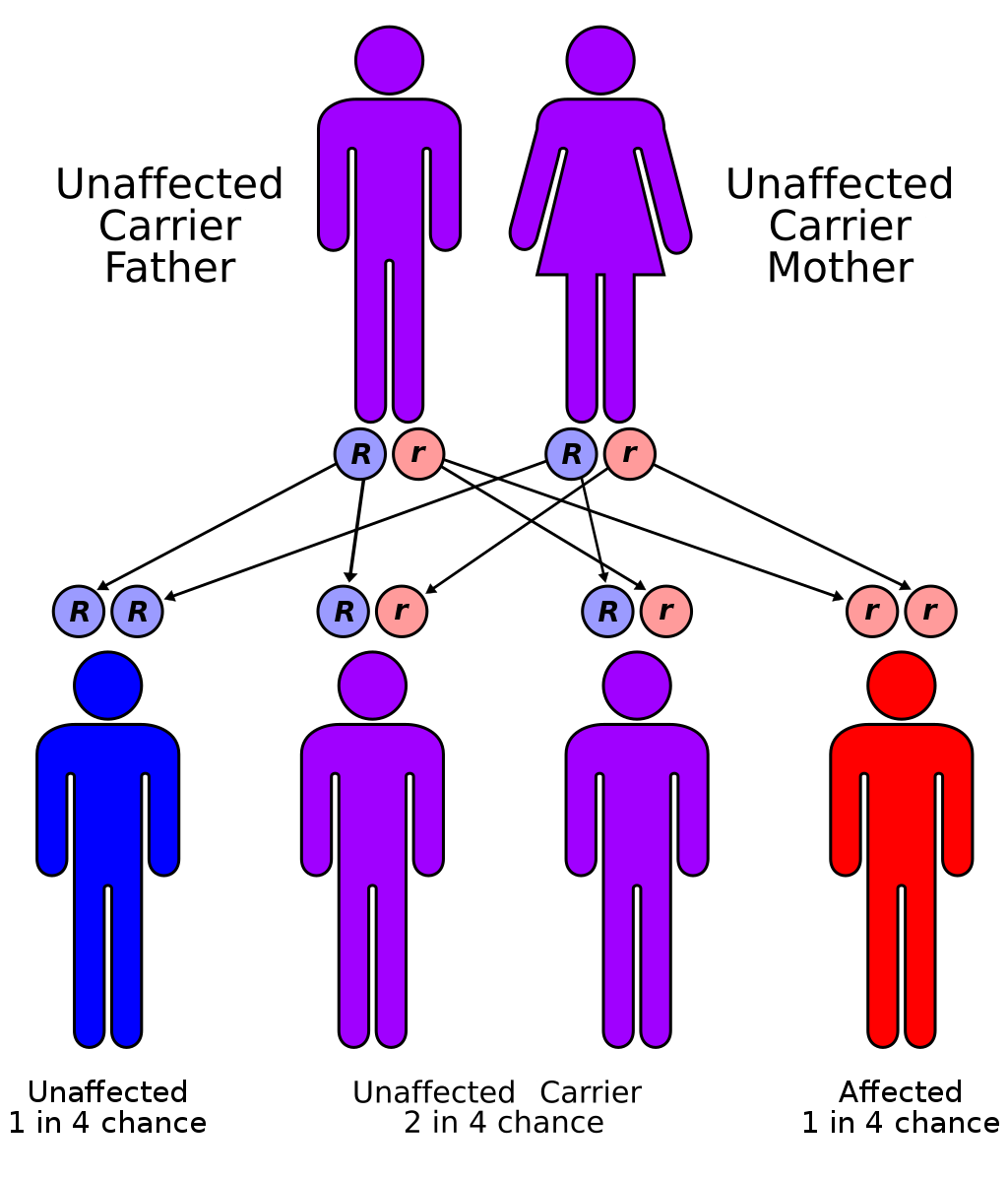 mutación hereditaria