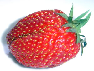 Photo of a strawberry.