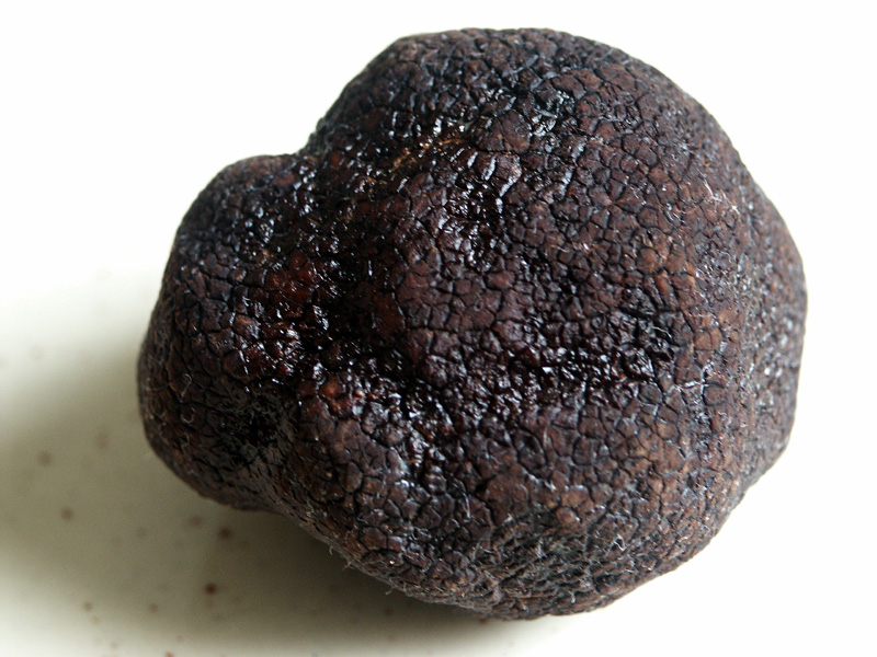 Black truffle, imperfect spherical shape with craggly surface and odd