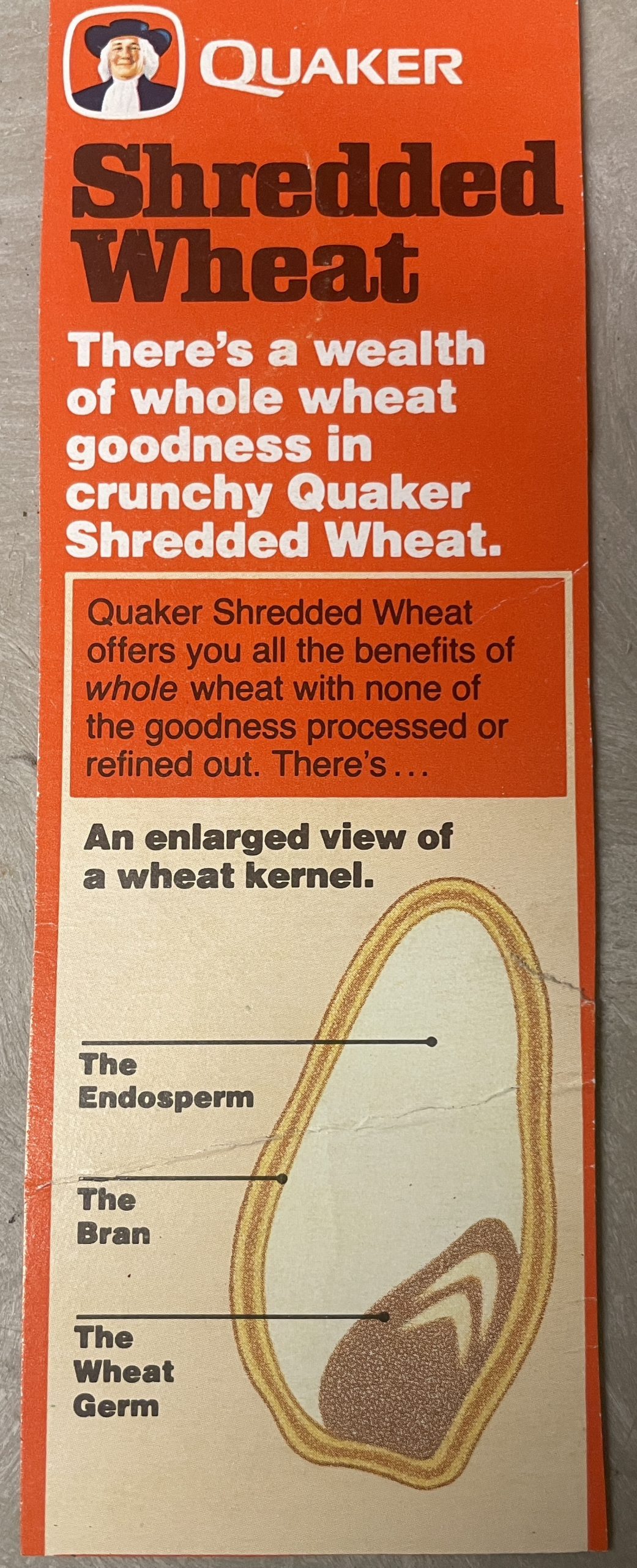shredded-wheat-scaled-1.jpg