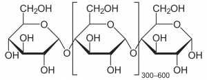 elemental structure of starch