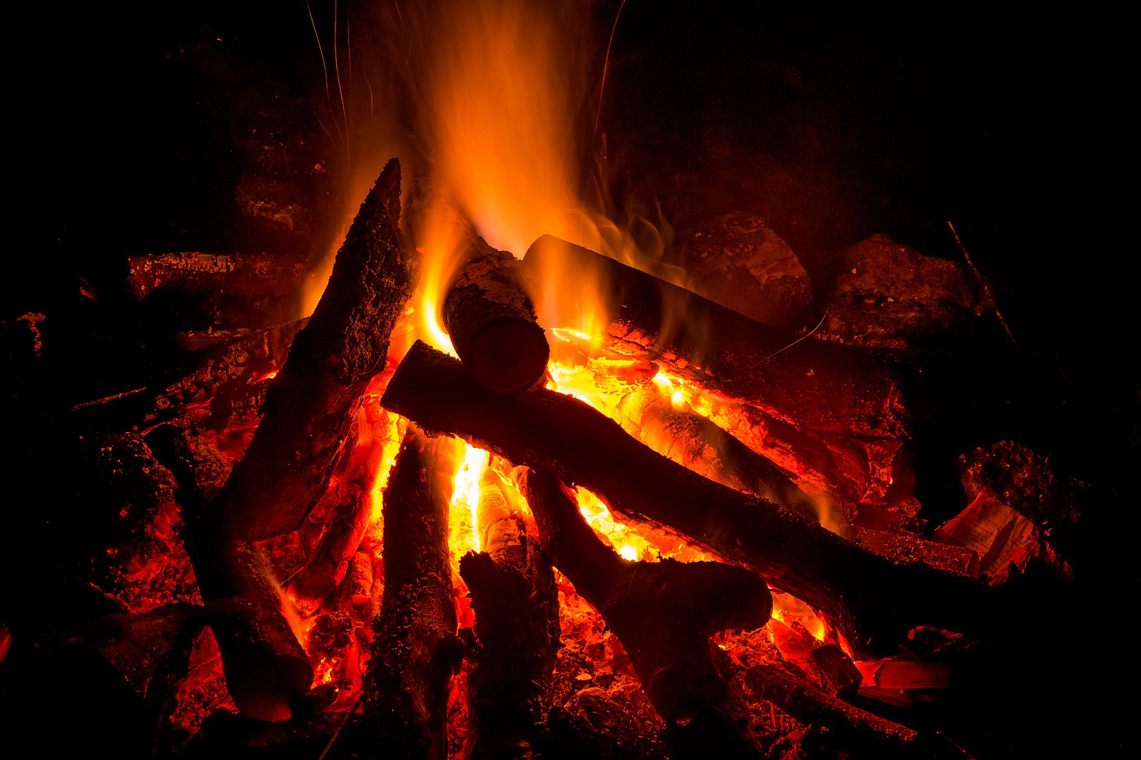 Logs of wood lit on fire