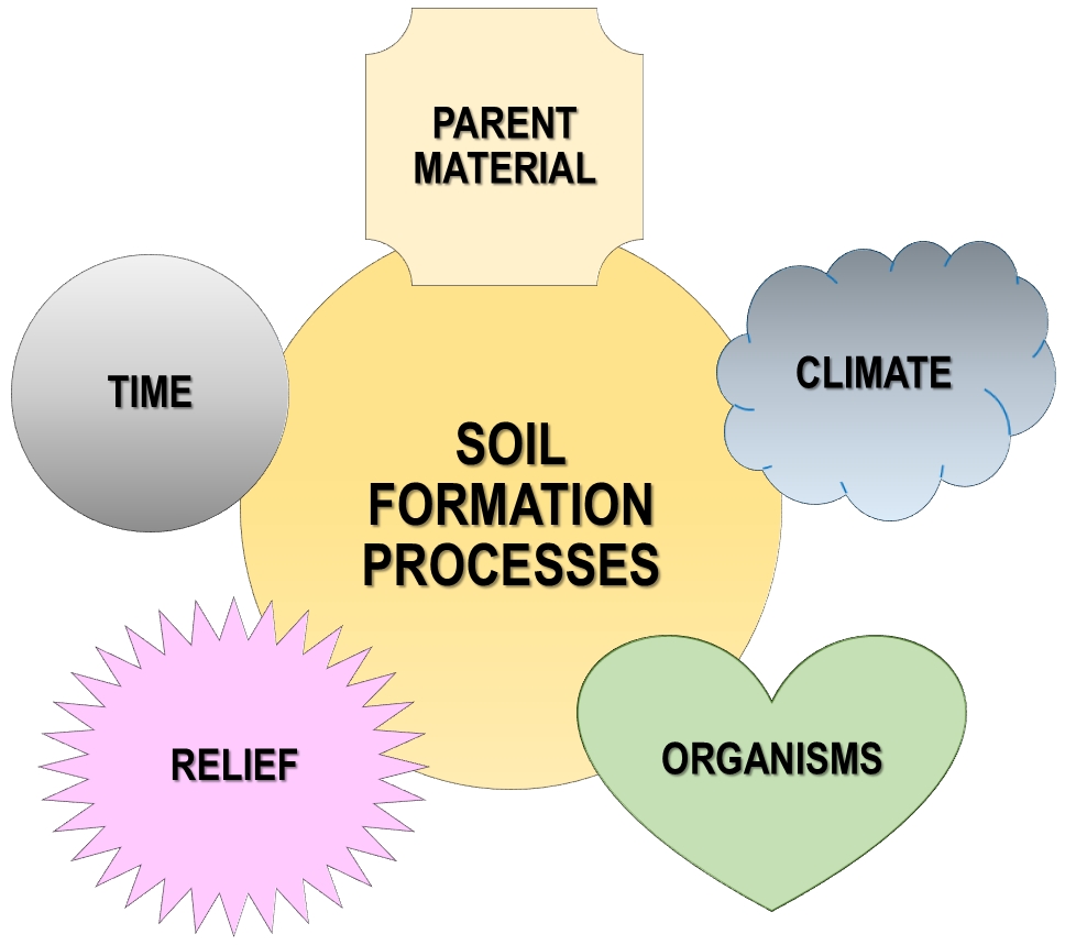 Soil formation processes: Parent material, climate, organisms, relief, and time.