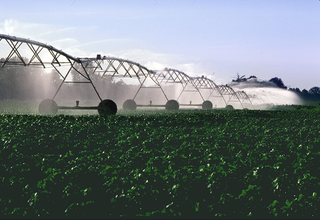 Pivot irrigation system on a cotton field