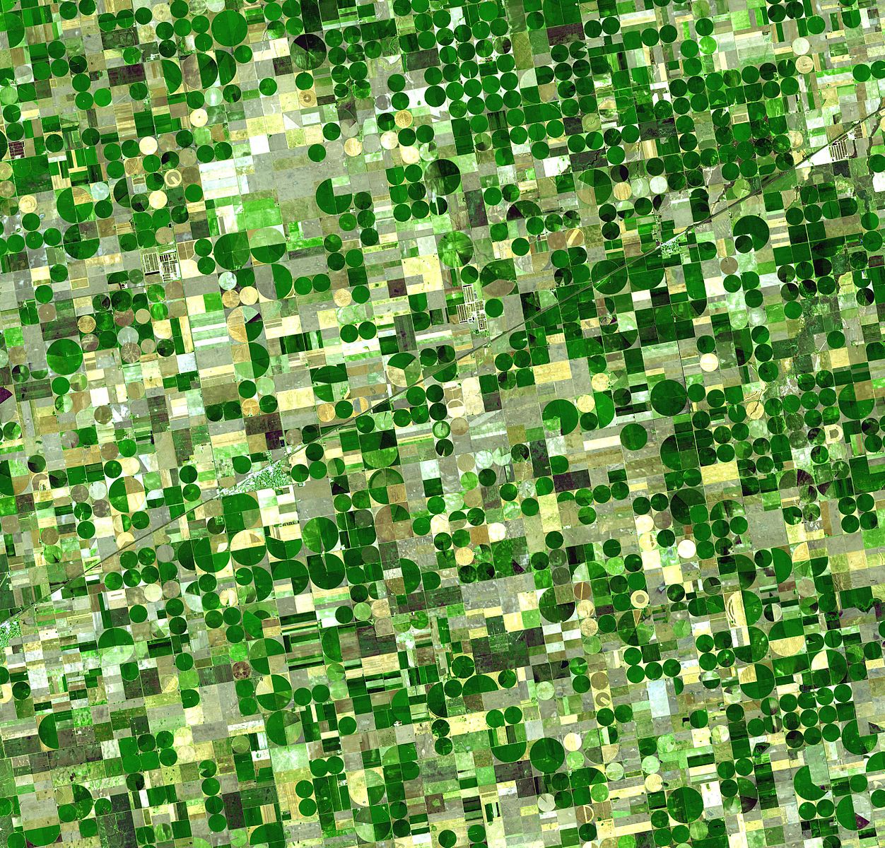 Satellite image of crops growing in Kansas, United States. Healthy, growing crops are green.