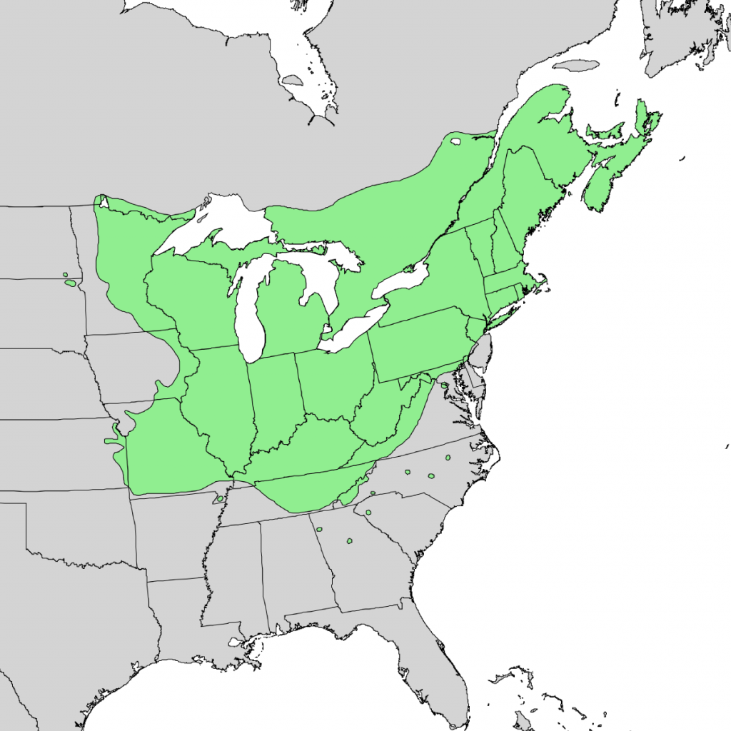 A map of the USA with green indicating the presence of sugar maples in the NE and north midwest
