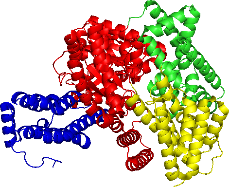 la estructura de una sola subunidad de fosfoenolpiruvato (PEP) carboxilasa (generada por PyMol).