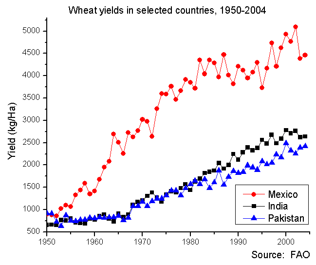 A graph showing the wheat yields in Mexico, India, and Pakistan between 1950 and 2004. Mexico's yields are significantly higher, but all three countries output grows over the time period.