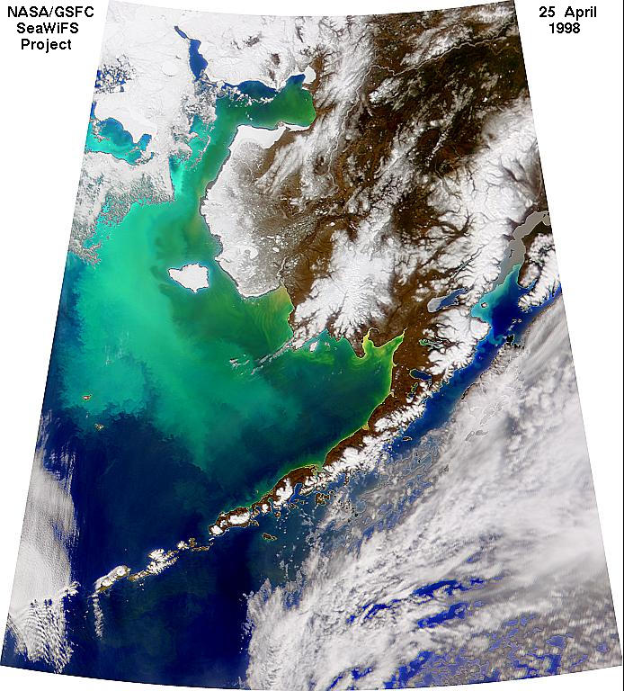 NASA SeaWiFS image taken on April 25, 1998, showing the coccolithophore bloom in the Bering Sea. This is not a false-color image: the greenish color is caused by the high concentration of phytoplankton.