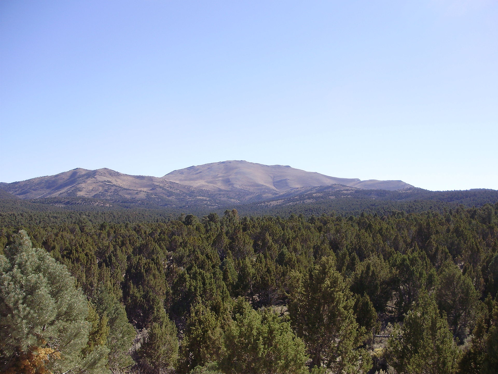 View south towards Big Bald Mountain from White Pine County Route 6 ascending Overland Pass from the east