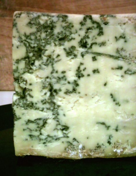 close up of blue stilton cheese showing the pockets of hyphe