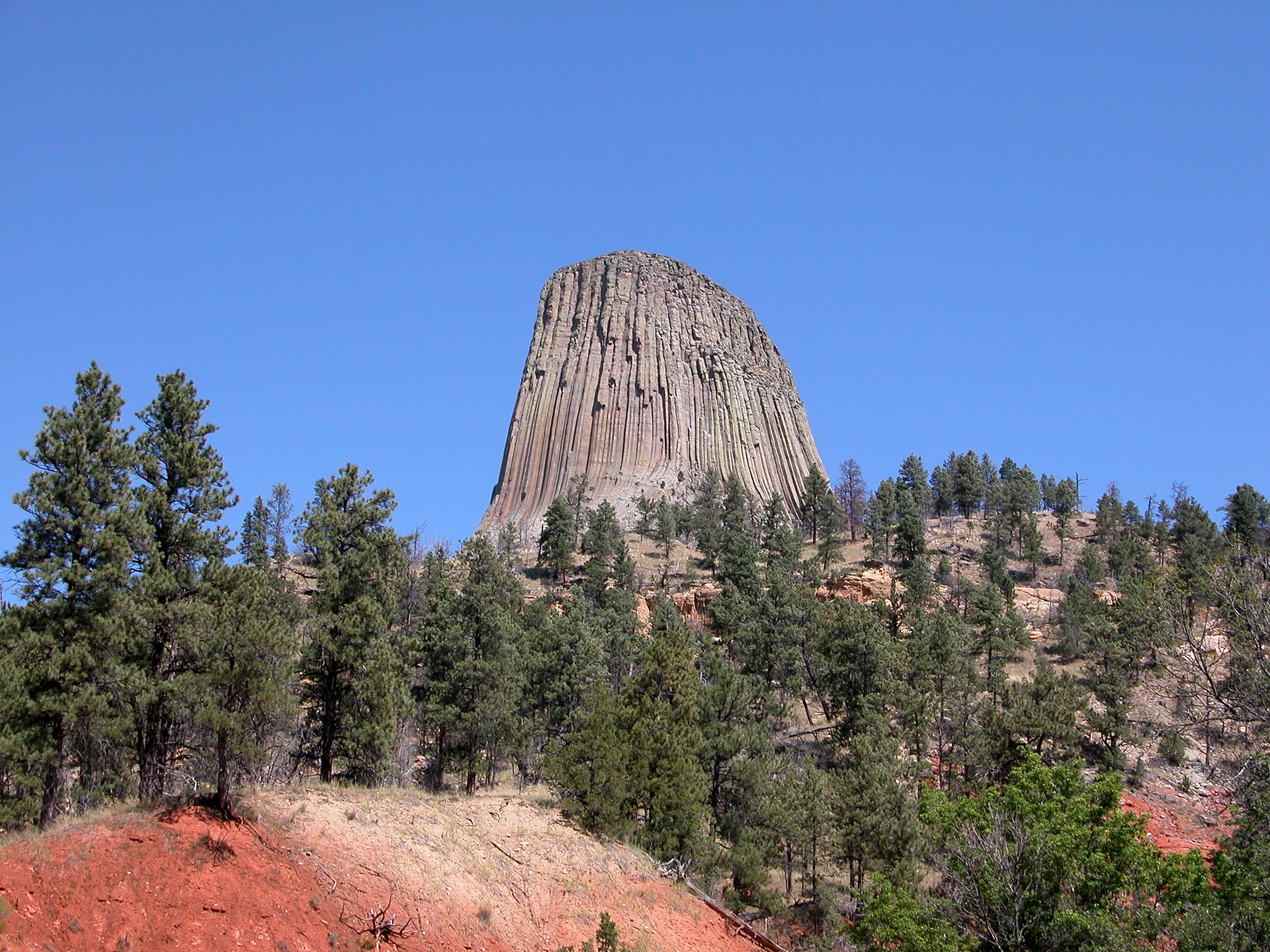 Piines surrounding Wyoming 's Devil' s Tower, a monolith rising out of the hills.