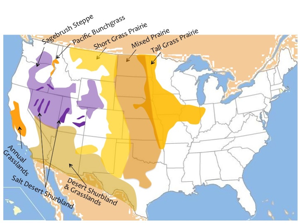 Map of the North American rangeland ecosystems of central and western U.S. and northern Mexico including deserts and xeric shrublands