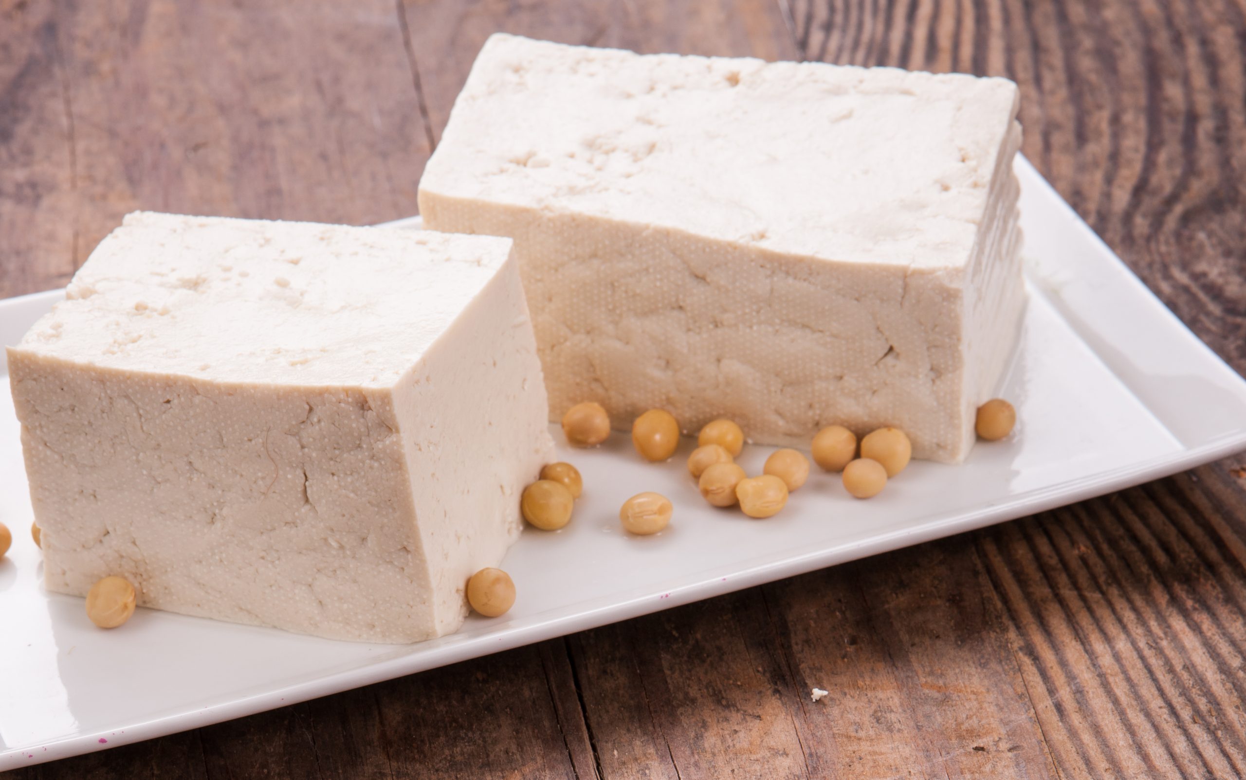 two blocks of tofu on a square plate