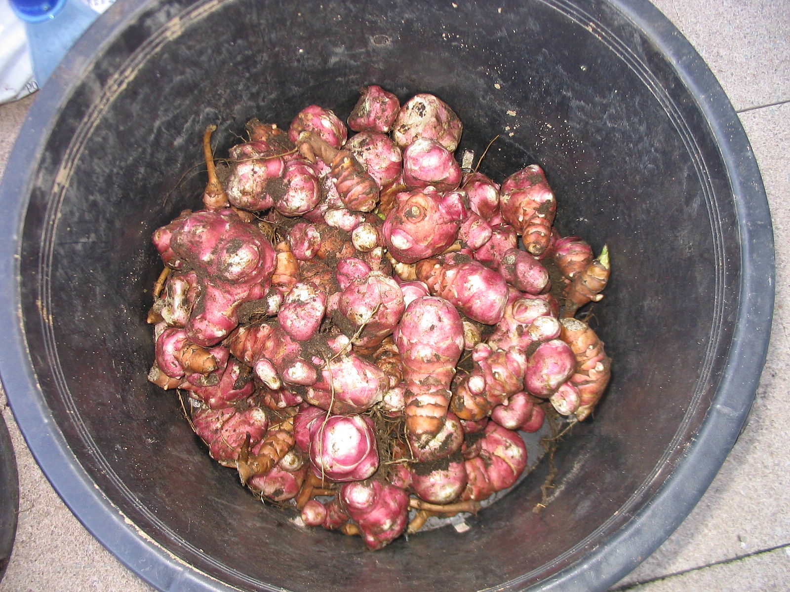 A pot of the tubers