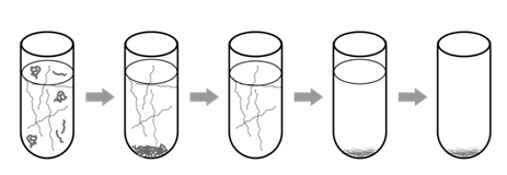 8.2: Isolating Genomic DNA - Biology LibreTexts