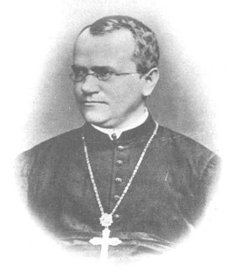 Portrait of Gregor Mendel, a monk who wore reading glasses and a large cross.
