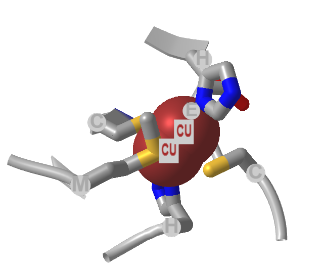 Coordinating Ligands for Cu2 in Complex IV - Cytochrome C Oxidase (5z62).png