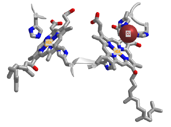 coordinating ligands for hemesandCuB in Complex IV (5z62).png