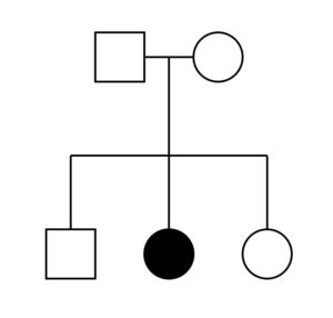 An illustration of a simple pedigree.