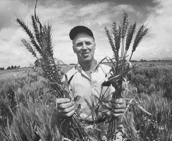 Fig-6-4-Norman-Borlaug.jpg