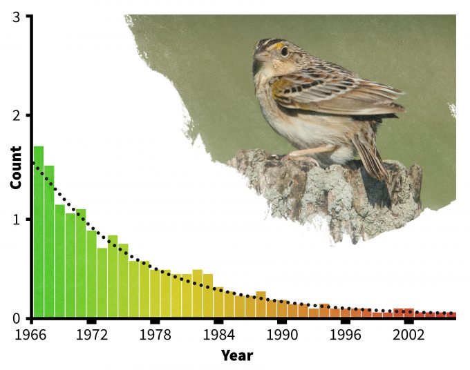 Figure 1.2. Monitoring data (redrafted from Sauer et al. 2007) provides evidence that at least one species of grassland bird is declining markedly in New York State. Photo by Dominic Sherony and published under creative commons.