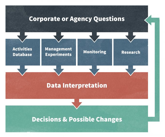 Figure 1.3. In order to make wise management decisions, monitoring is one important avenue for gaining new information. But it is not the only avenue. Formal research and management experiments also contribute to the information. Redrafted from Haynes et al. (2006).