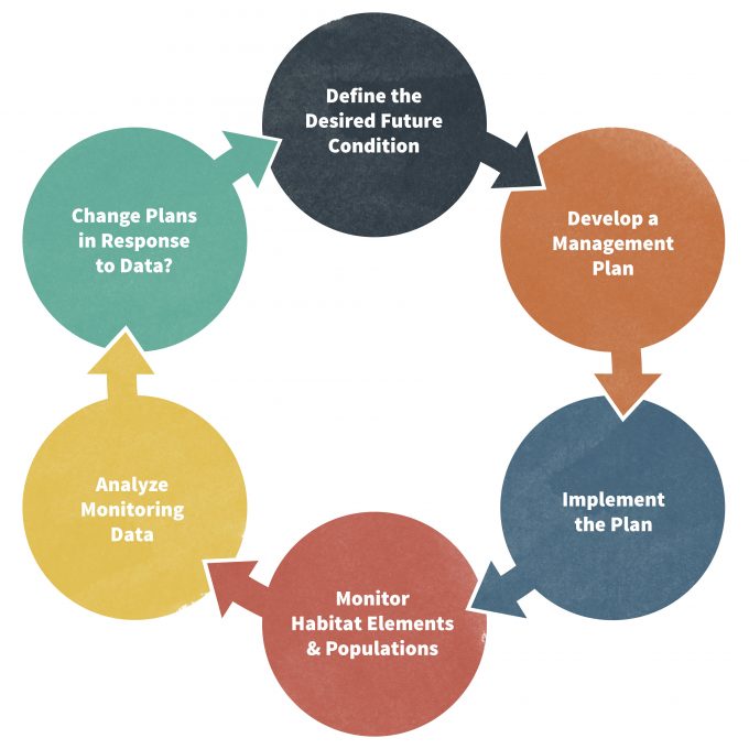 Figura 1.4. El ciclo de manejo adaptativo está diseñado para mejorar la información utilizada para tomar mejores decisiones de gestión.