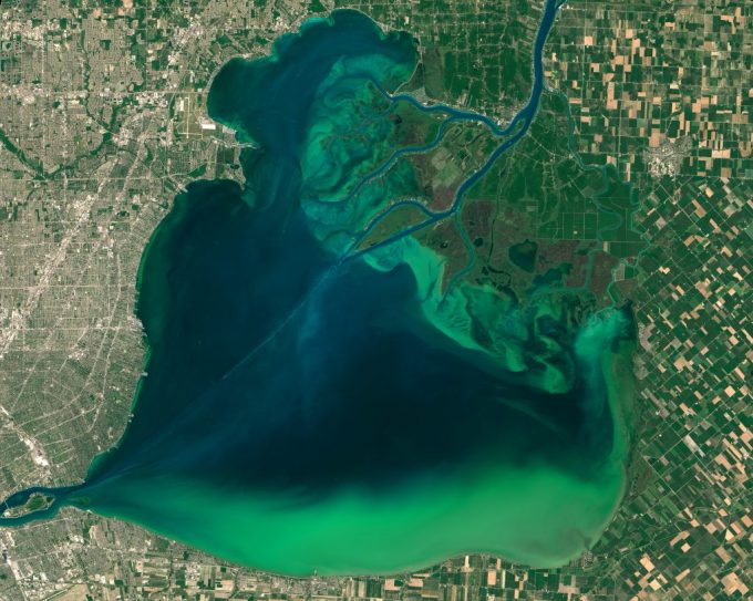Figure 2.1. Algae accumulation is a common problem associated with environmental contaminants and agricultural run-off. The image above shows the algal blooms of Lake St. Clair and in western Lake Erie. Image Credit: NASA Earth Observatory images by Joshua Stevens, using Landsat data from the U.S. Geological Survey