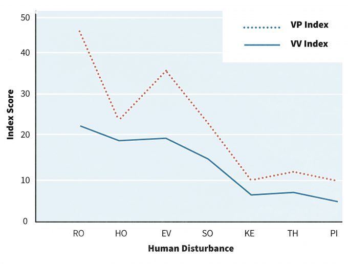 Figura 3.4. Fore et al. (2001) evaluaron las diferencias entre los índices bentónicos generados por voluntarios (VV) y los generados por profesionales científicos (VP) de integridad biológica, ya que se relacionan con la perturbación humana cerca de ecosistemas de arroyos. Reredactado de Fore et al. (2001).
