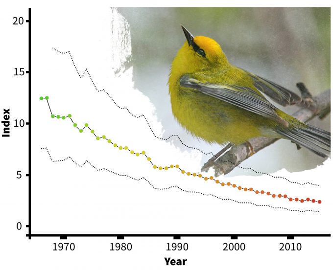 Figure 4.4 Estimated declines of Blue-winged warblers in Connecticut (from Sauer et al. 2006). Photo by gfdl-1.2 and published under creative commons.