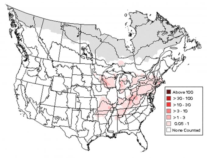 Figura 4.5. Distribución de las currucas de alas azules en Estados Unidos y Canadá (de Sauer et al. 2006).